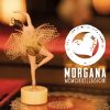 La band pop/rock MORGANA pubblica l’album dal titolo “Memorieillusioni”, disponibile in tutti i digital store